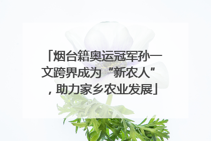 烟台籍奥运冠军孙一文跨界成为“新农人”，助力家乡农业发展